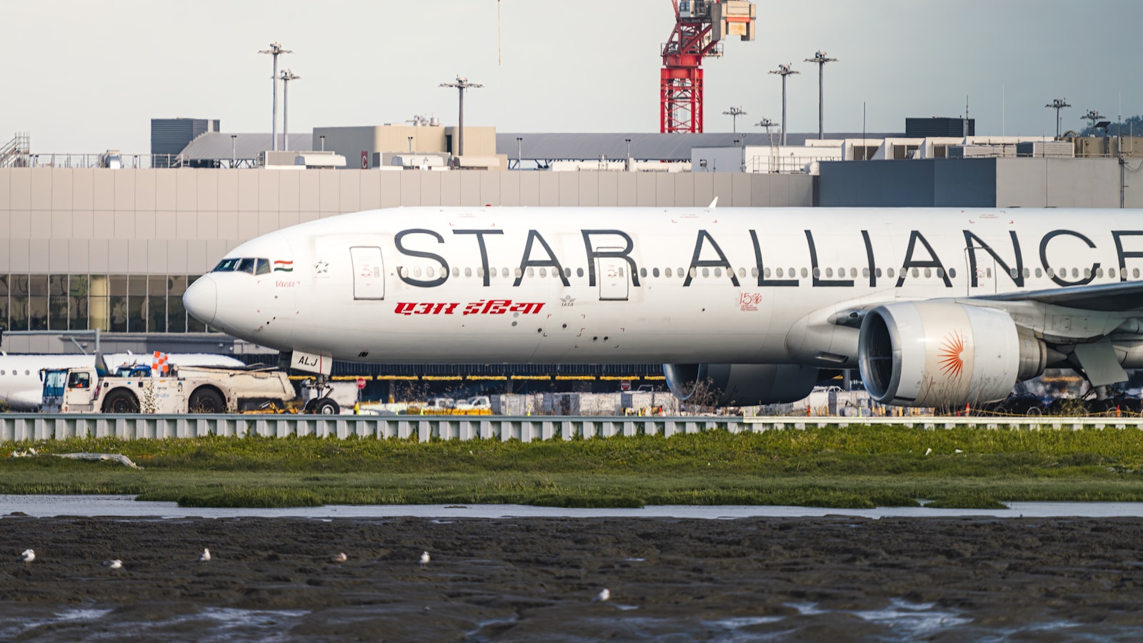 A star alliance airplane on the tarmac at an airport