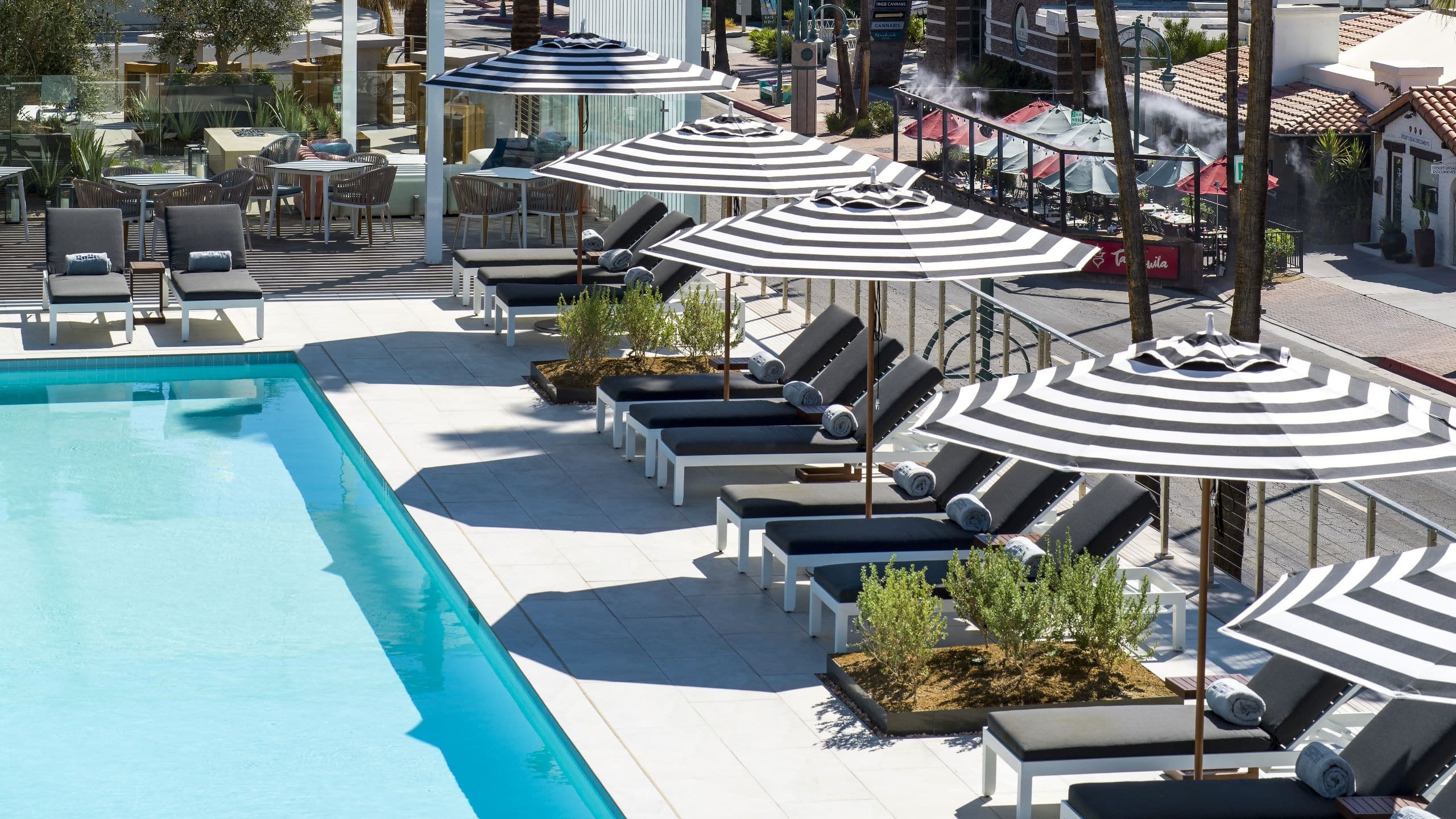 Thompson Palm Springs pool area